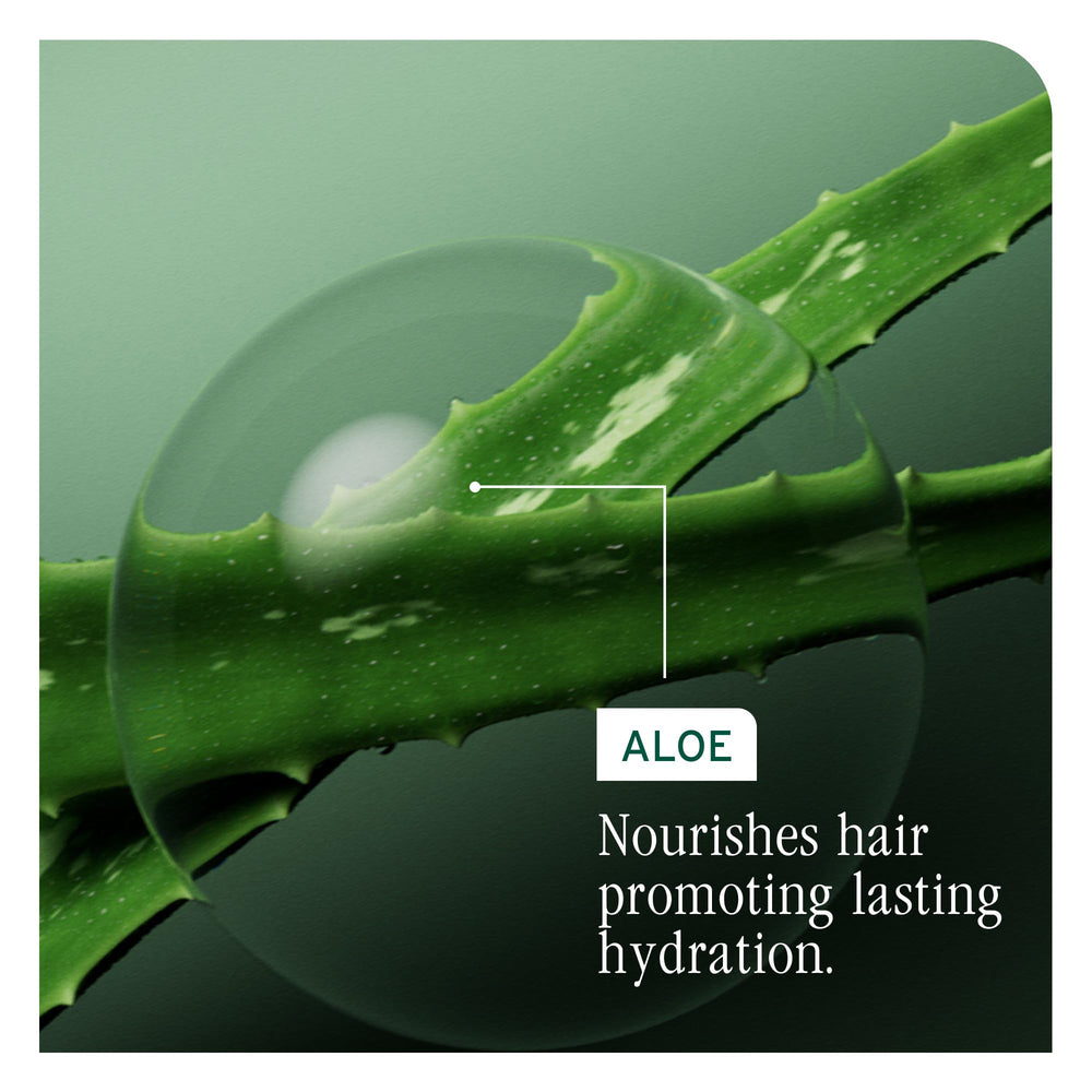 Biolage Hydra Source Conditioning Balm jar with matte finish and premium packaging