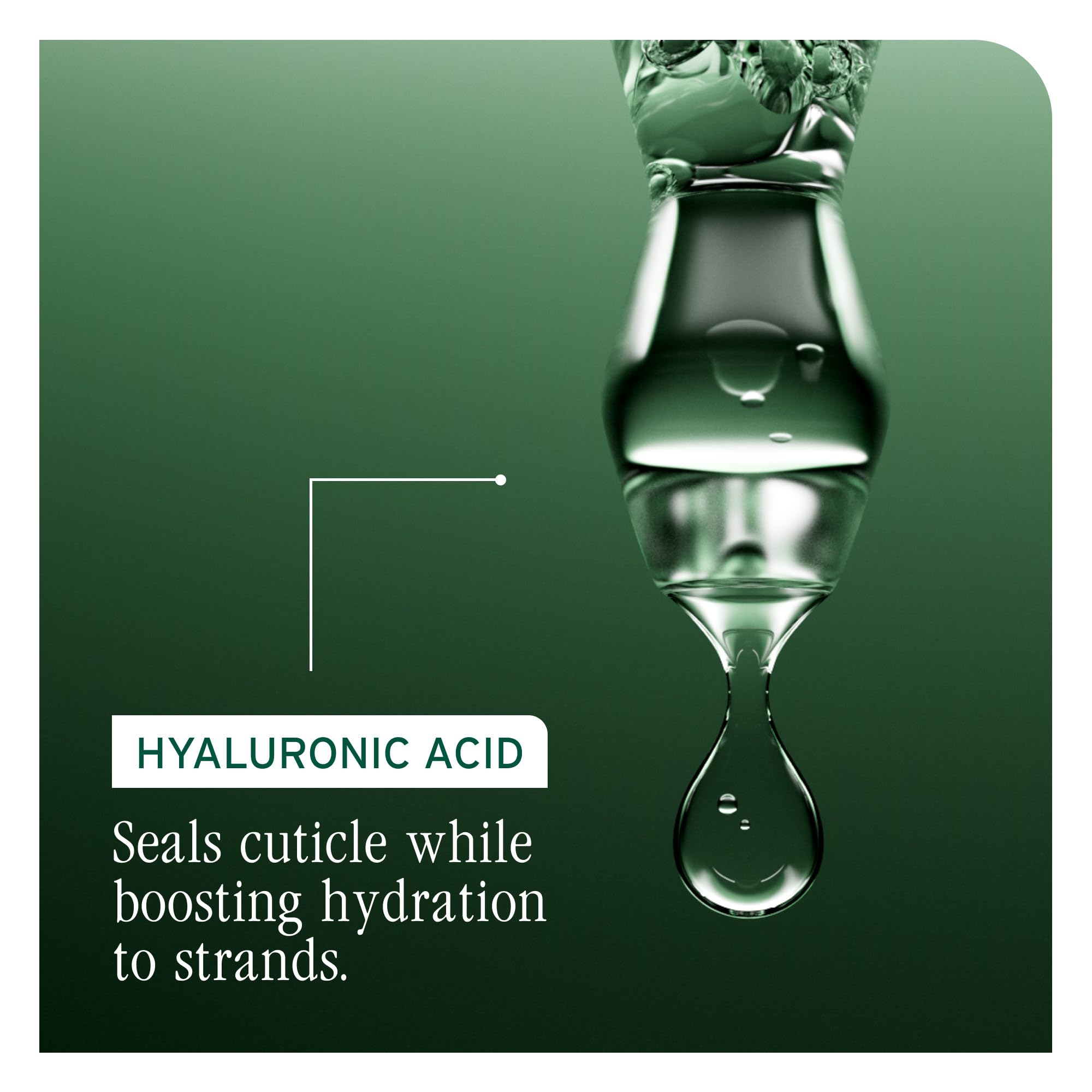Biolage Hydra Source Shampoo and Mask duo appears in system context.