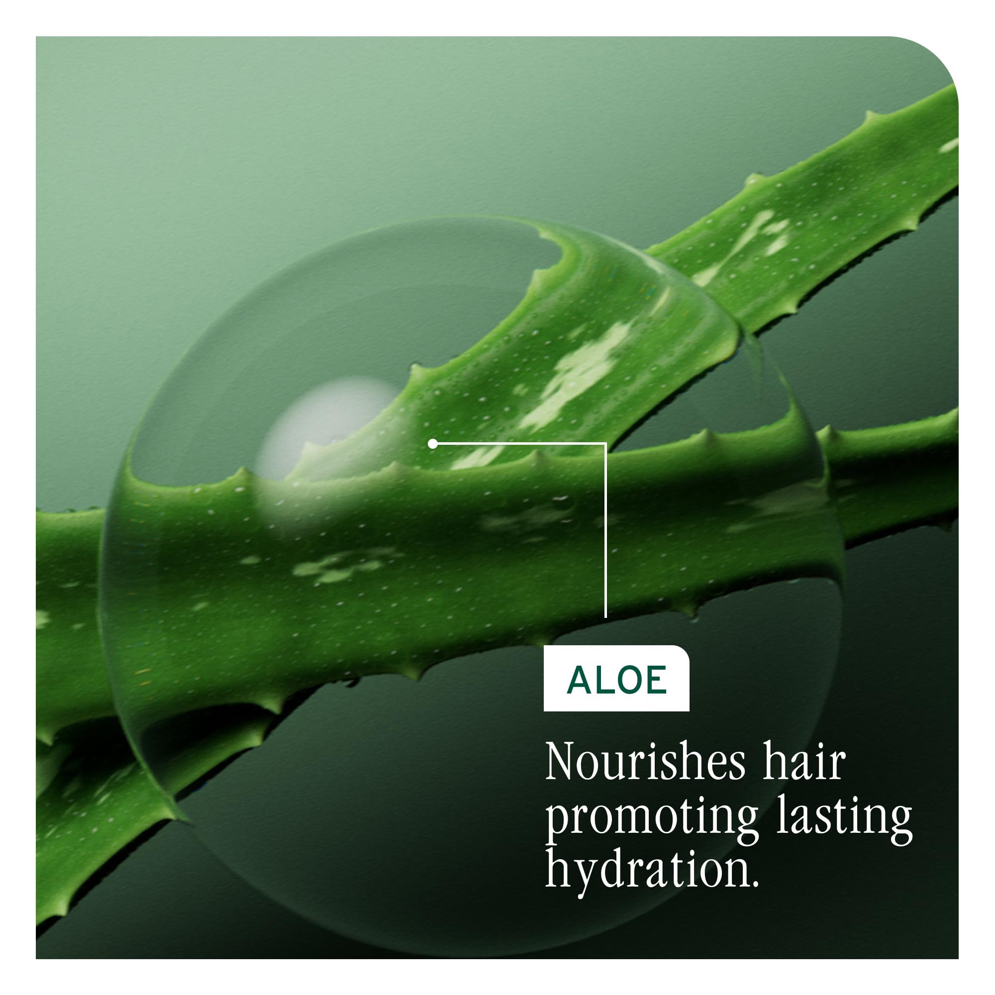 Biolage Hydra Source Shampoo bottle in recycled plastic packaging.