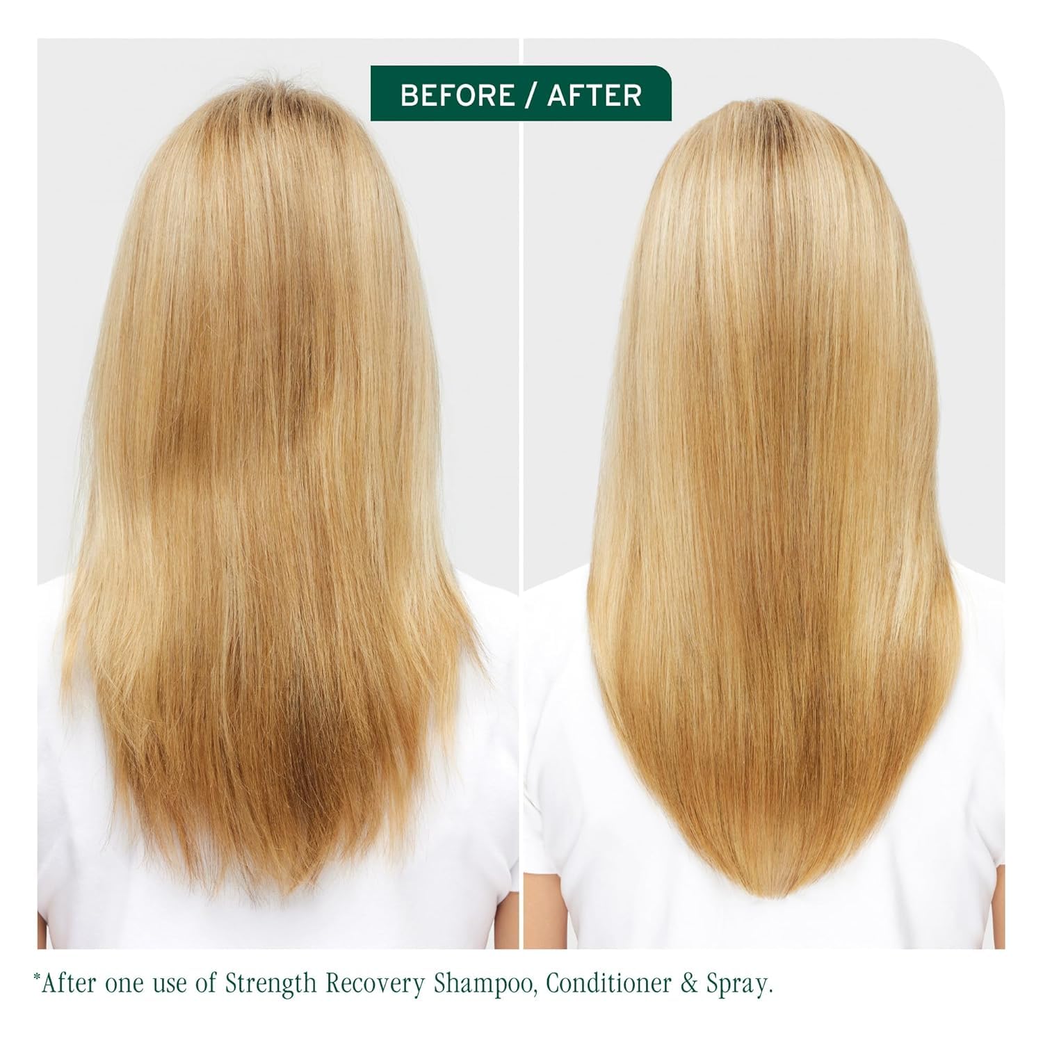 Biolage Winter Rescue Kit con champú Strength Recovery, cabello más fuerte tras la limpieza.