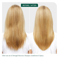 Biolage Winter Rescue Kit con champú Strength Recovery, cabello más fuerte tras la limpieza.
