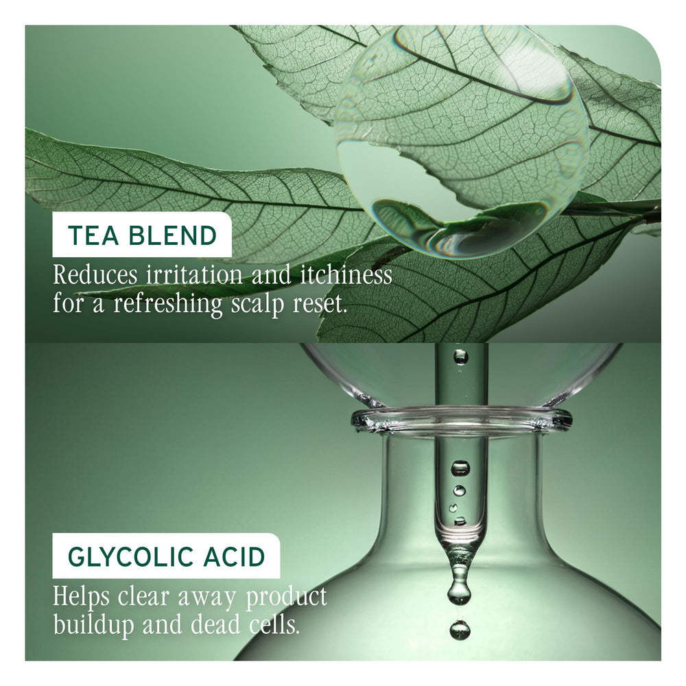 Biolage Scalp Sync Calming Shampoo fermented tea blend hint for calming care.