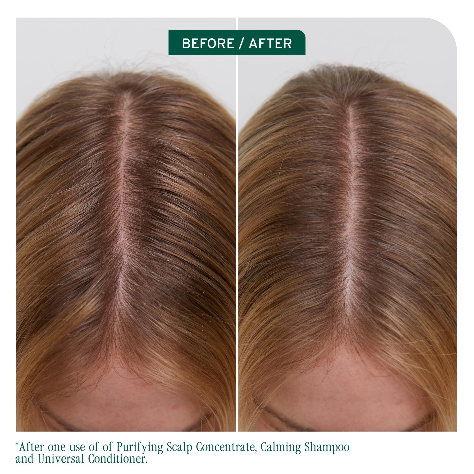 Biolage Scalp Sync Universal Conditioner creamy texture delivering smoothing moisture