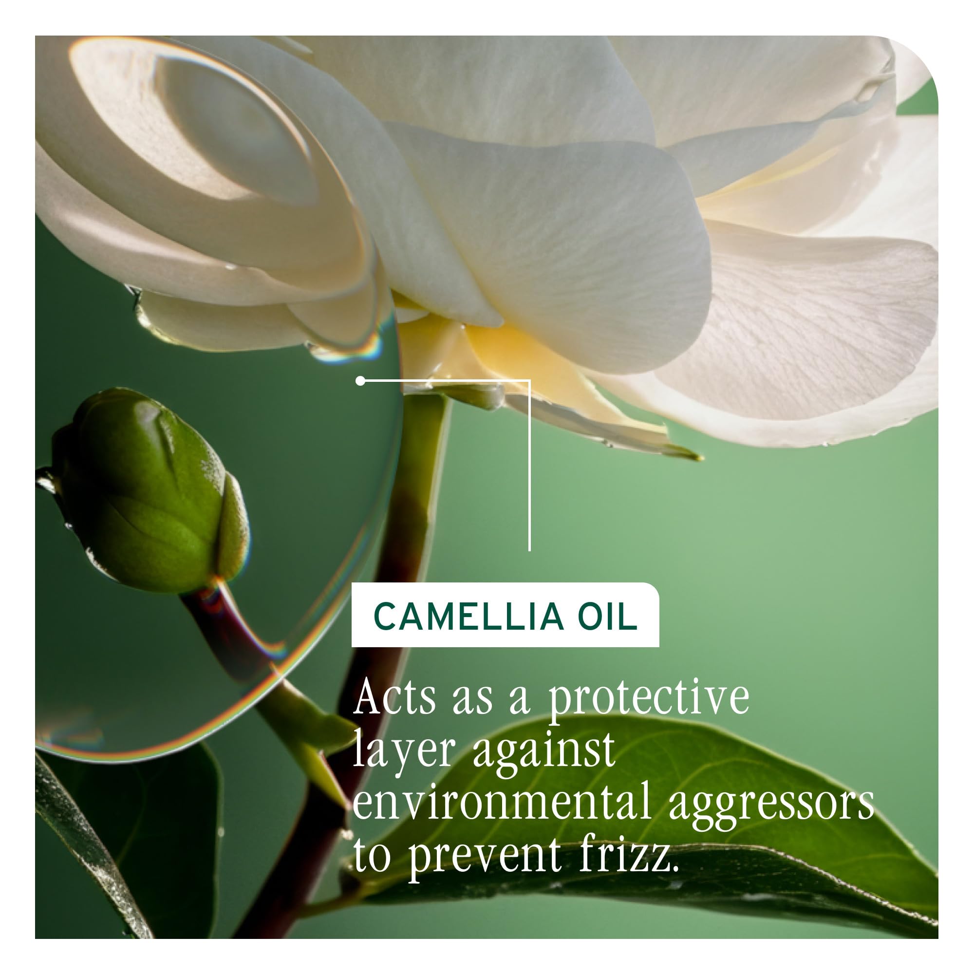 Humidity shield concept for Biolage Smooth Proof Serum protecting hair.