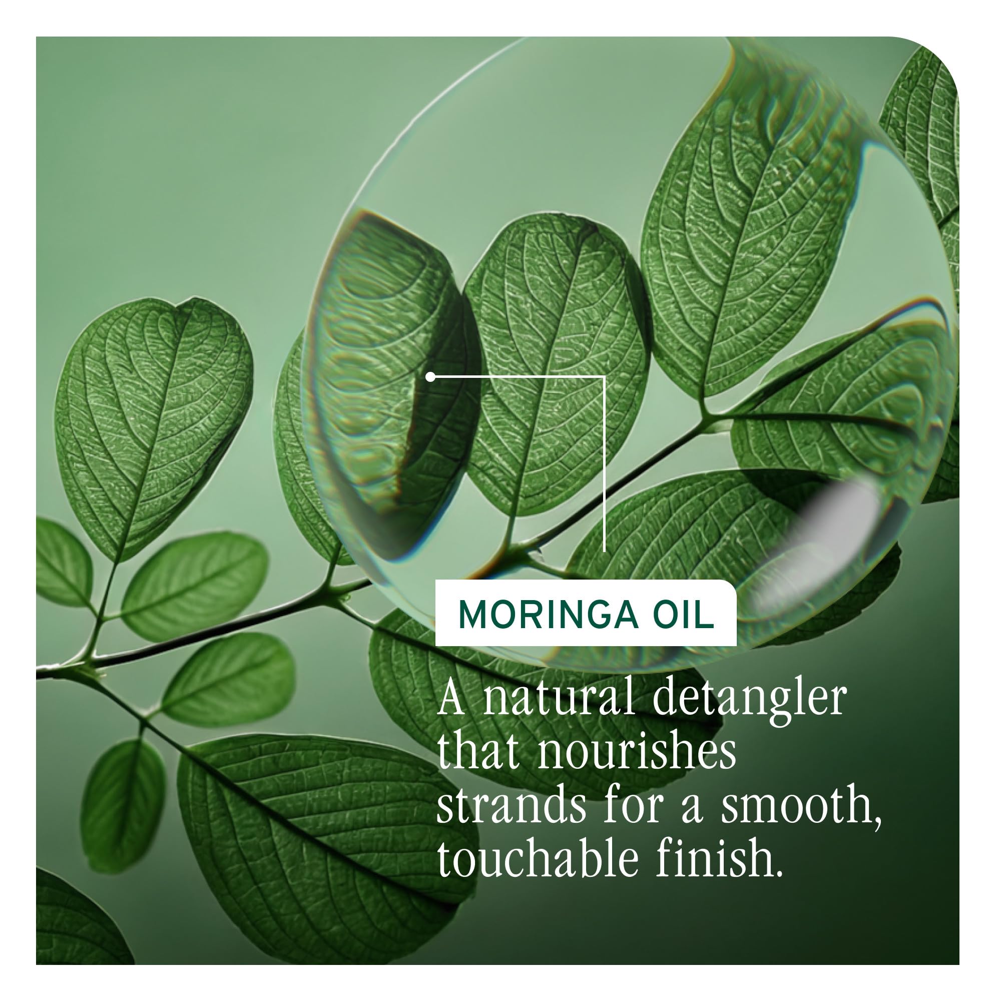 Biolage Styling Oil adds natural shine and manageability to strands