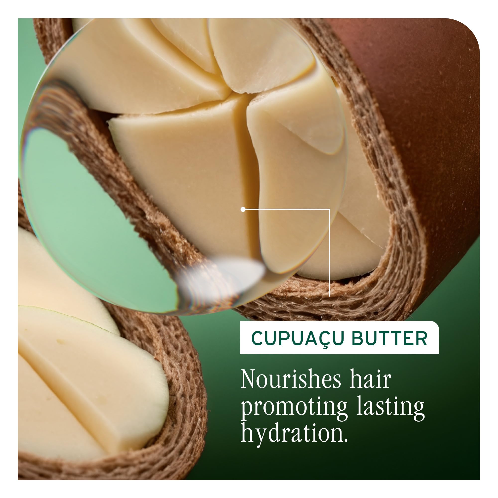 Biolage Ultra Hydra Source conditioner texture with cupuacu and apricot kernel.