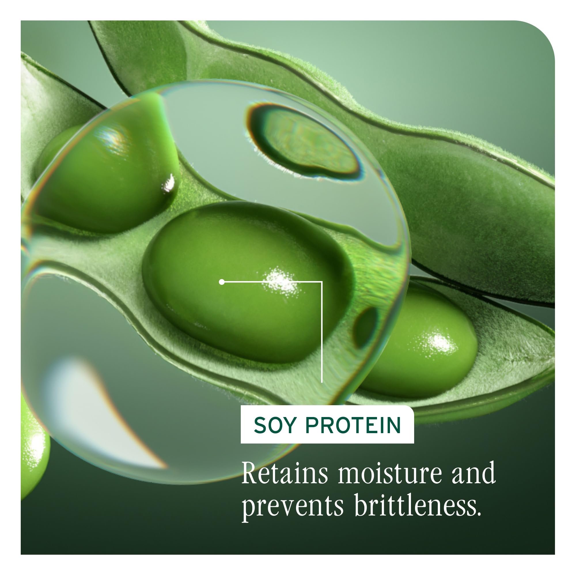Biolage Volume Boost packaging highlights vegan, paraben-free formula
