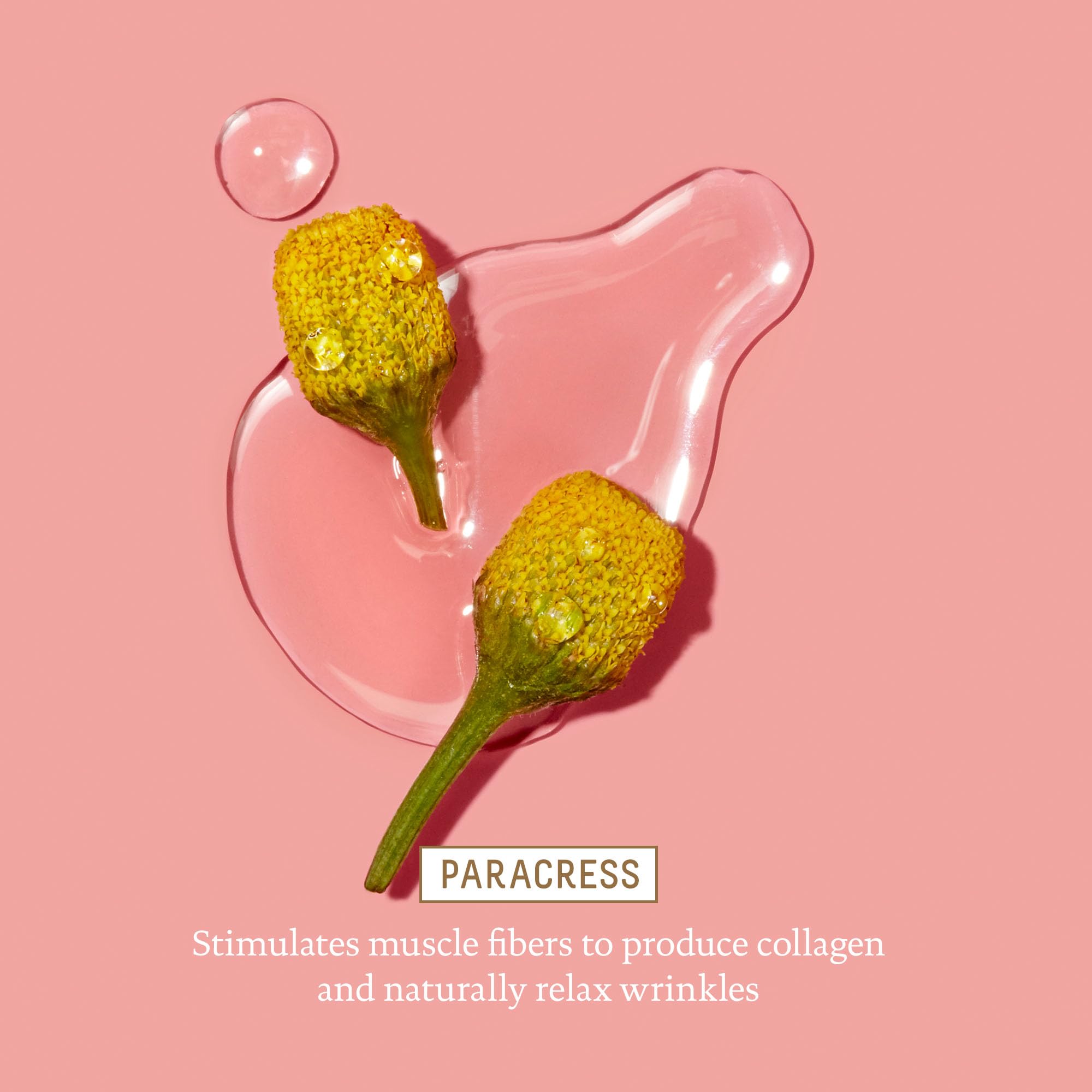 BIOSSANCE squalane bottle representing weightless hydration for day-long suppleness