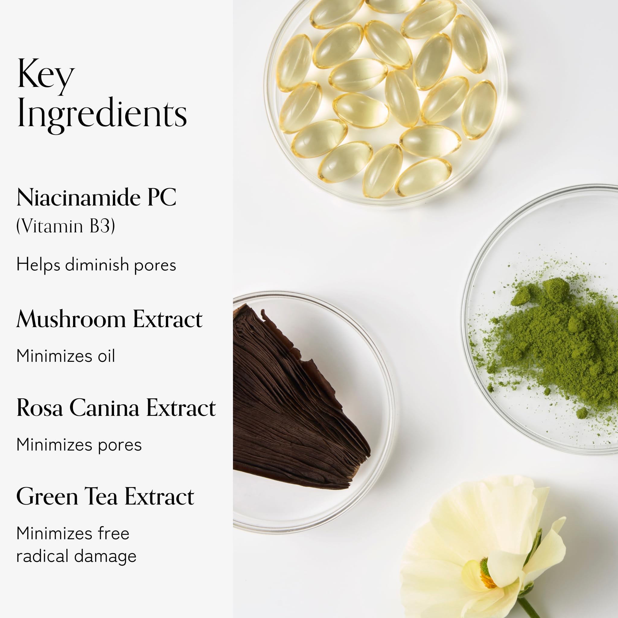 Bliss Niacinamide Mushroom extract close-up illustrating oil control texture.