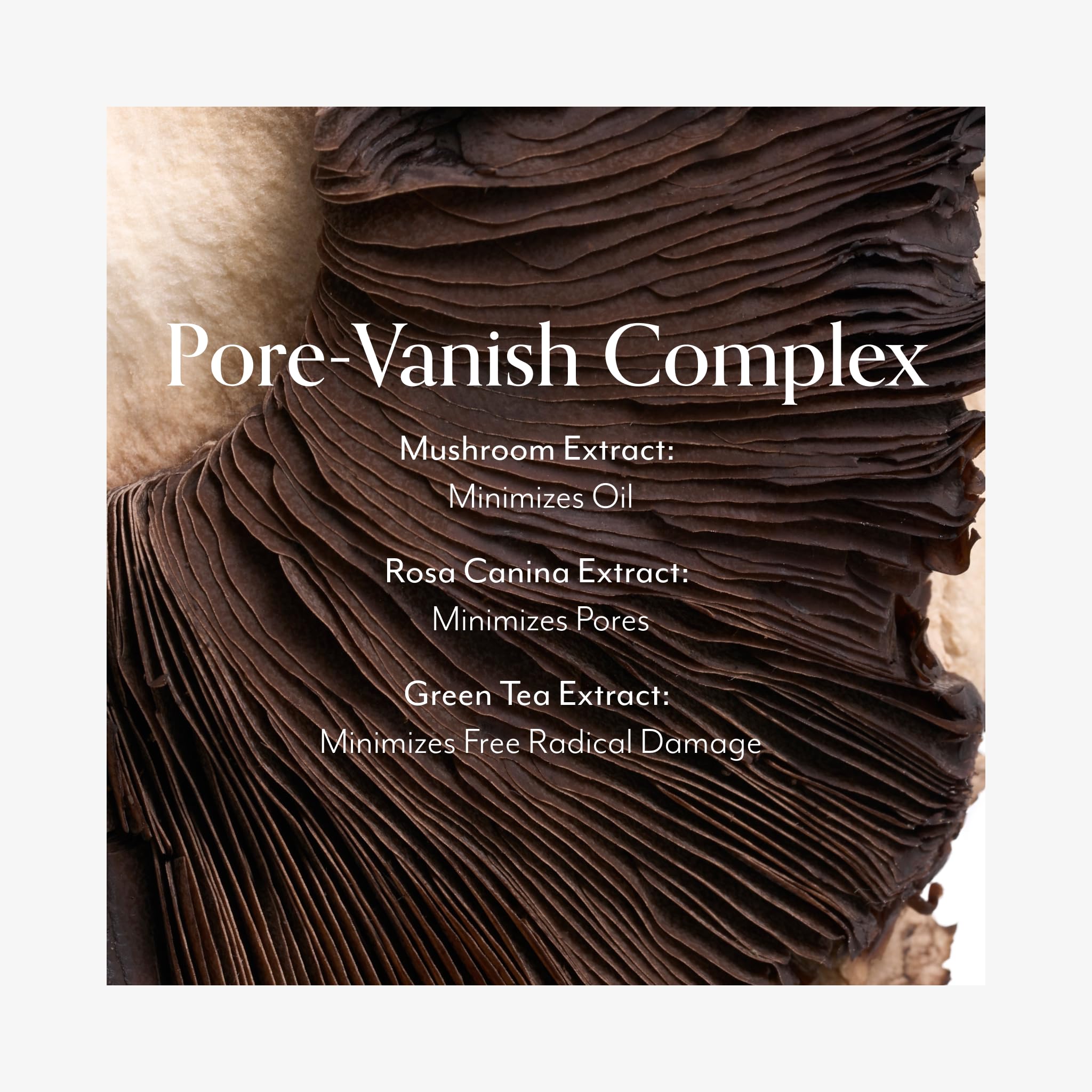 Bliss Niacinamide Rosa Canina extract emphasis on oil balance.