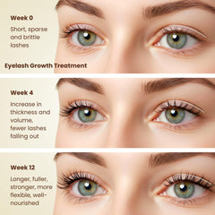 BodyJ4You precision lash brush for smooth, precise lash line application.