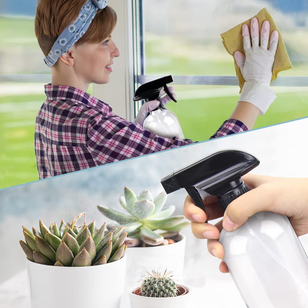 Transparent glass lids showcase contents while keeping them protected.