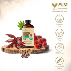 Botanic Hearth Aceite de Castor, aplicación en cejas y pestañas para aspecto más lleno
