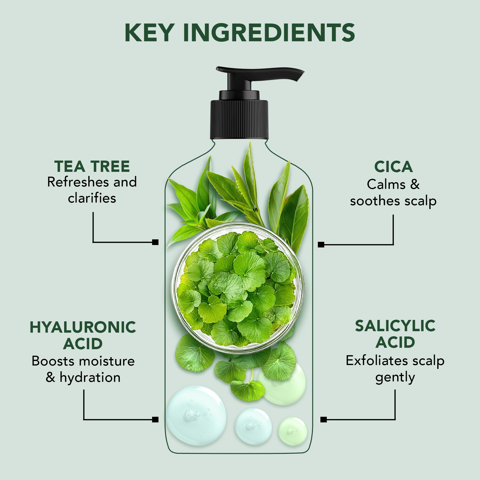 Botanic Hearth Champú Árbol del Té: exfoliación suave del cuero cabelludo