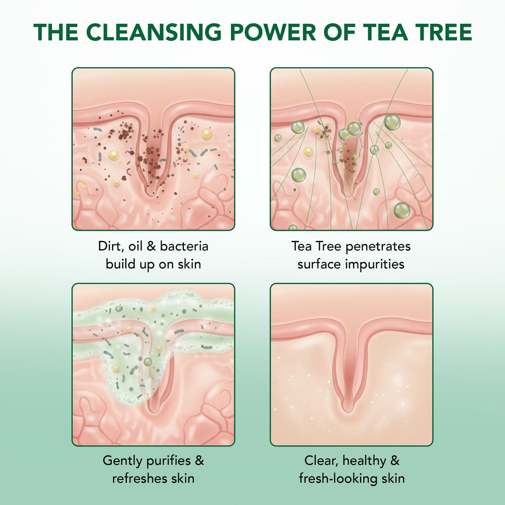 Botanic Hearth Tea Tree Body Wash uso diario para piel saludable
