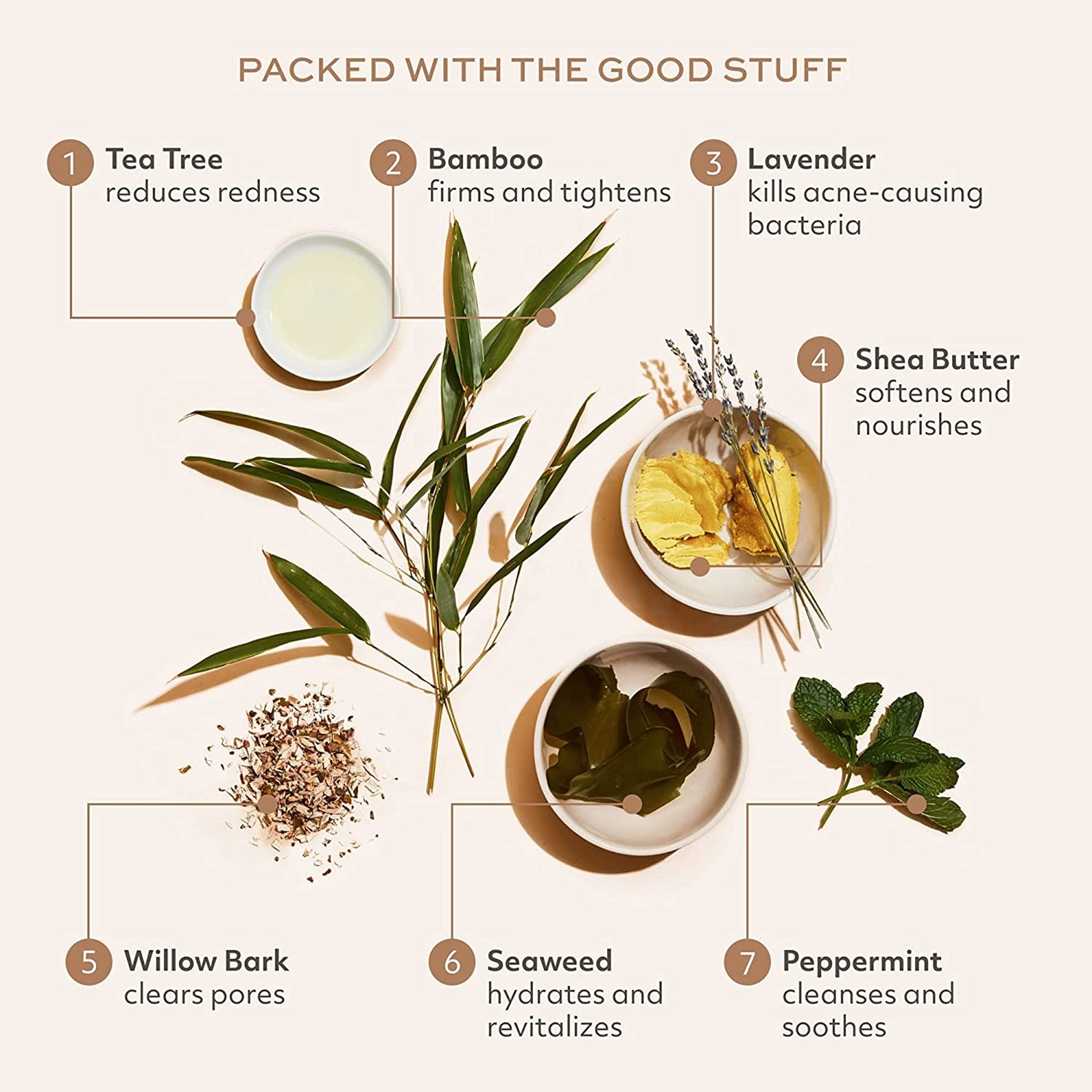 Botanic Tree dark spot–supporting formula helps balance tone with natural extracts.