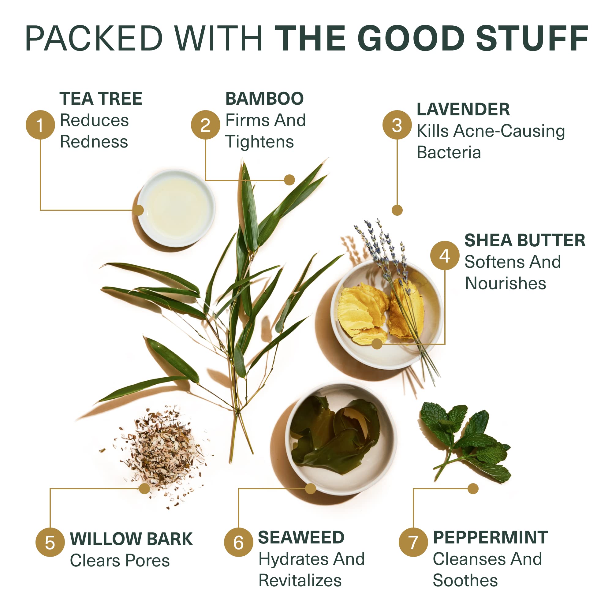 Active ingredients bamboo, shea butter, and tea tree in Botanic Tree cleanser.