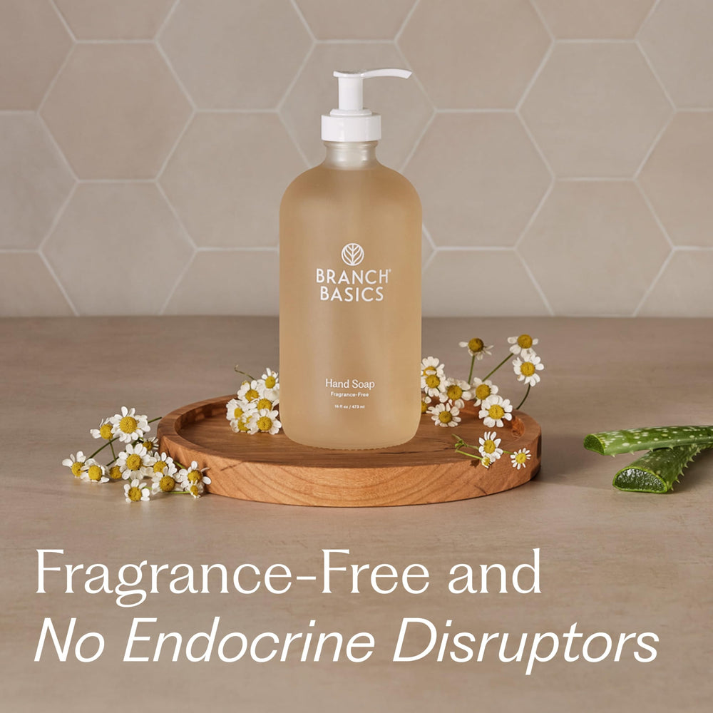 Branch Basics family-use scene illustrates safe, fragrance-free hand care.