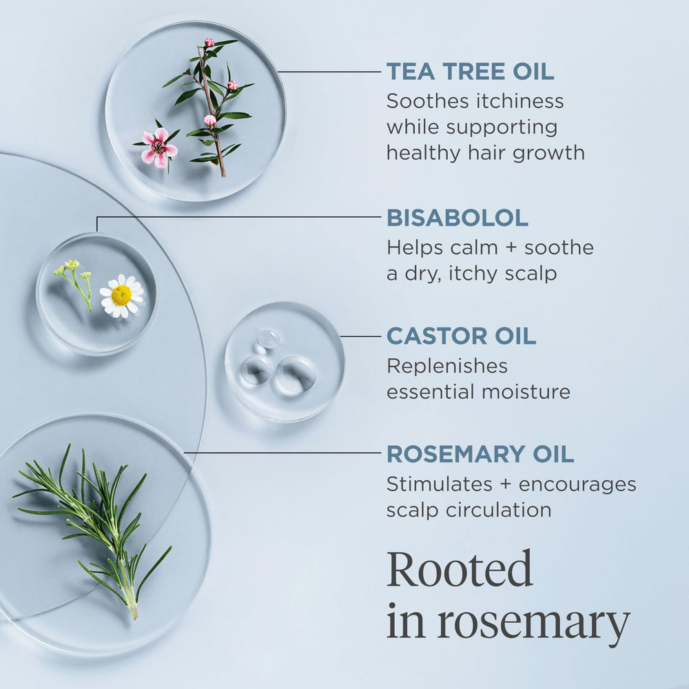 Briogeo Scalp Revival Rosemary Pre-Wash Oil with biotin and ceramides for stronger hair.