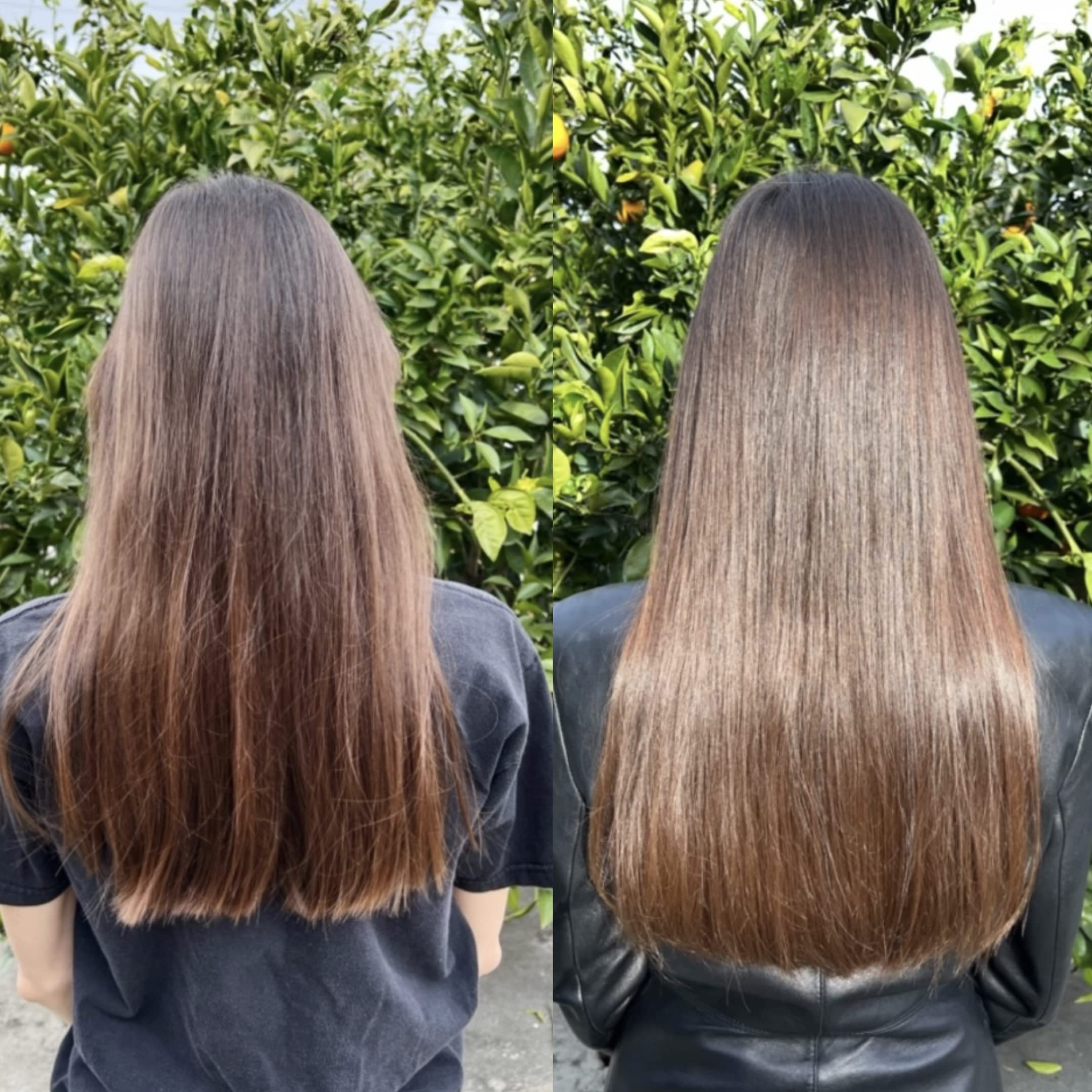 Before-wash ritual with the oil softens hair and balances the scalp