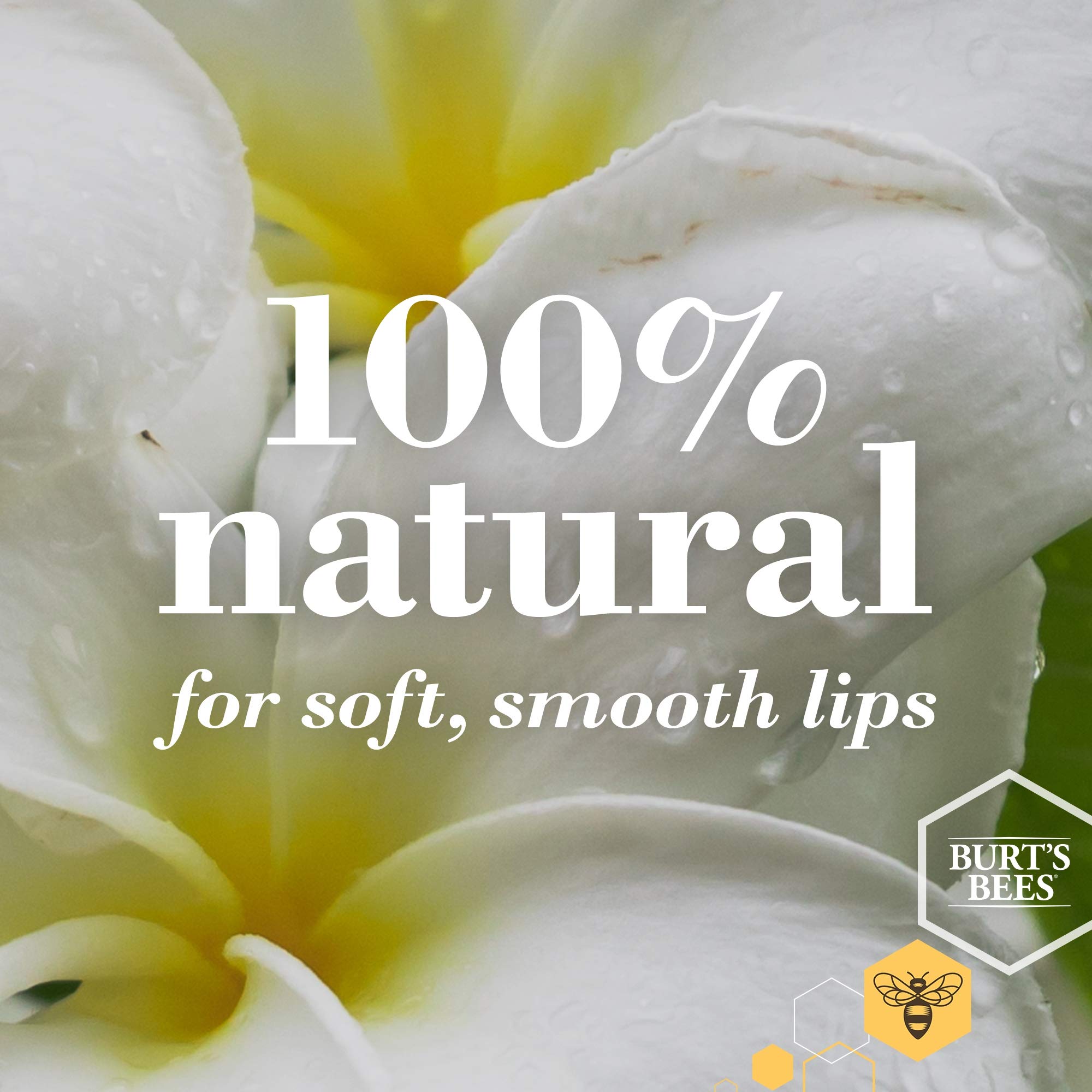 Burt's Bees bálsamo labial textura cremosa para suavidad inmediata