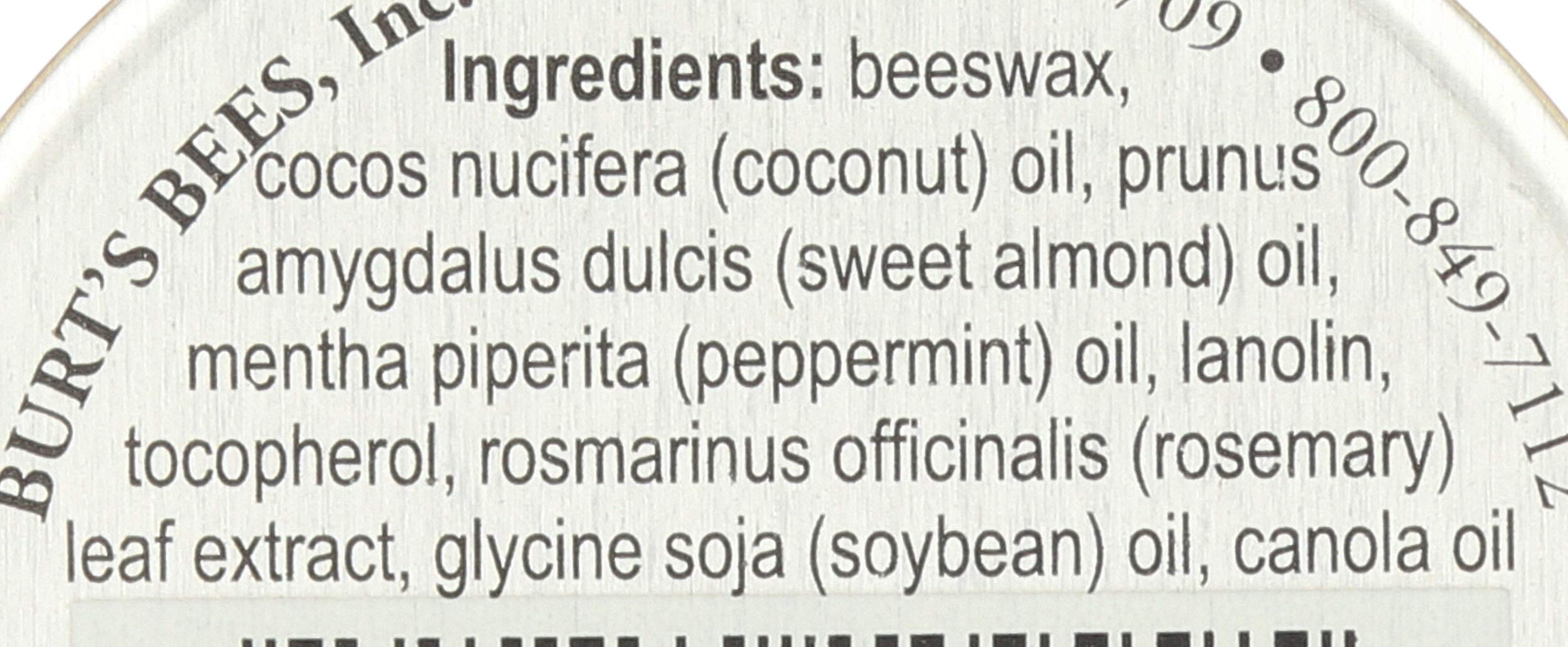 Close-up of Burt's Bees lip balm tin contents showing balm texture.