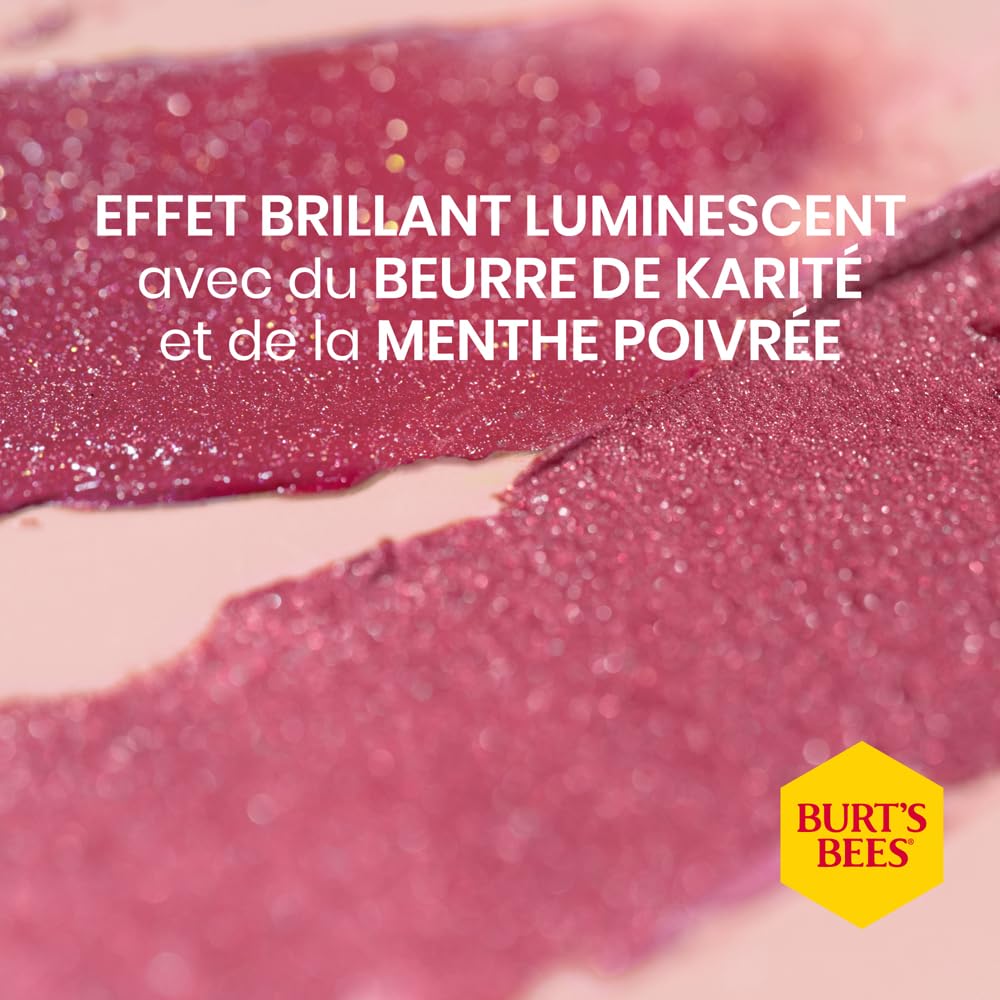 Burts Bees Kissable Color Warm Gift Set branding appears on tubes for easy recognition.