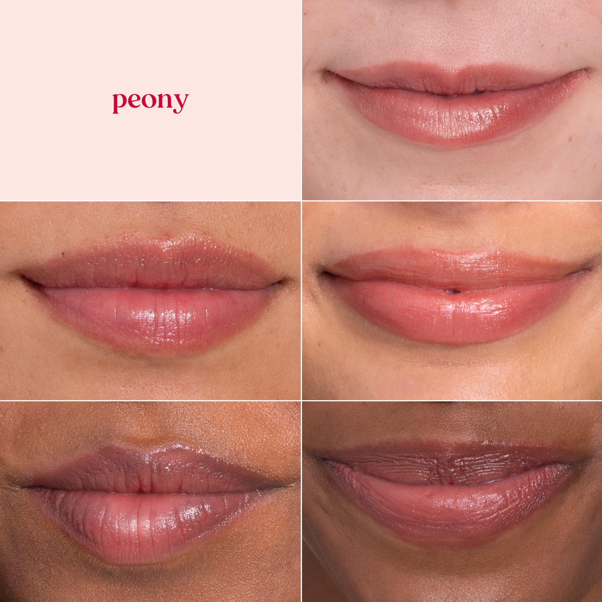 Four-pack Burt's Bees Lip Shimmer Peony ready for gifting.