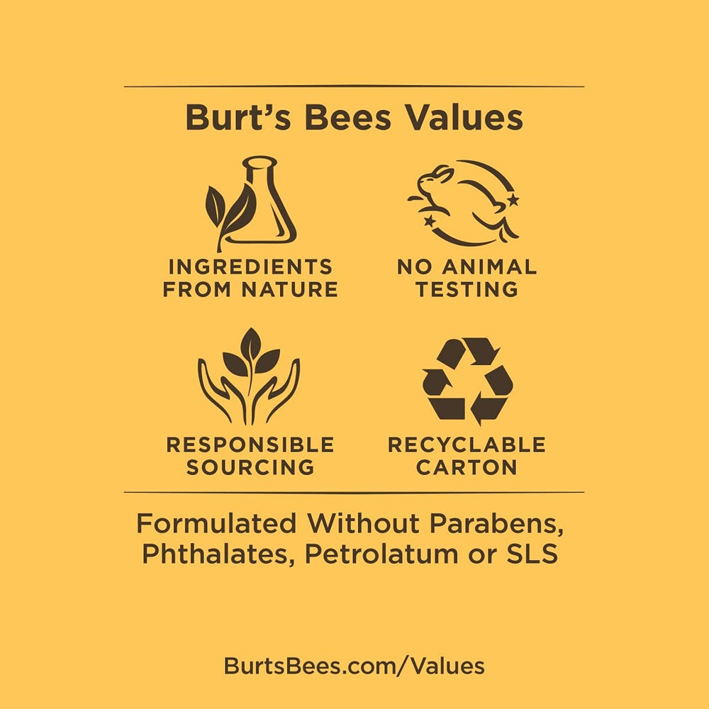 Close-up of mango flavor scent on Burt's Bees balm.
