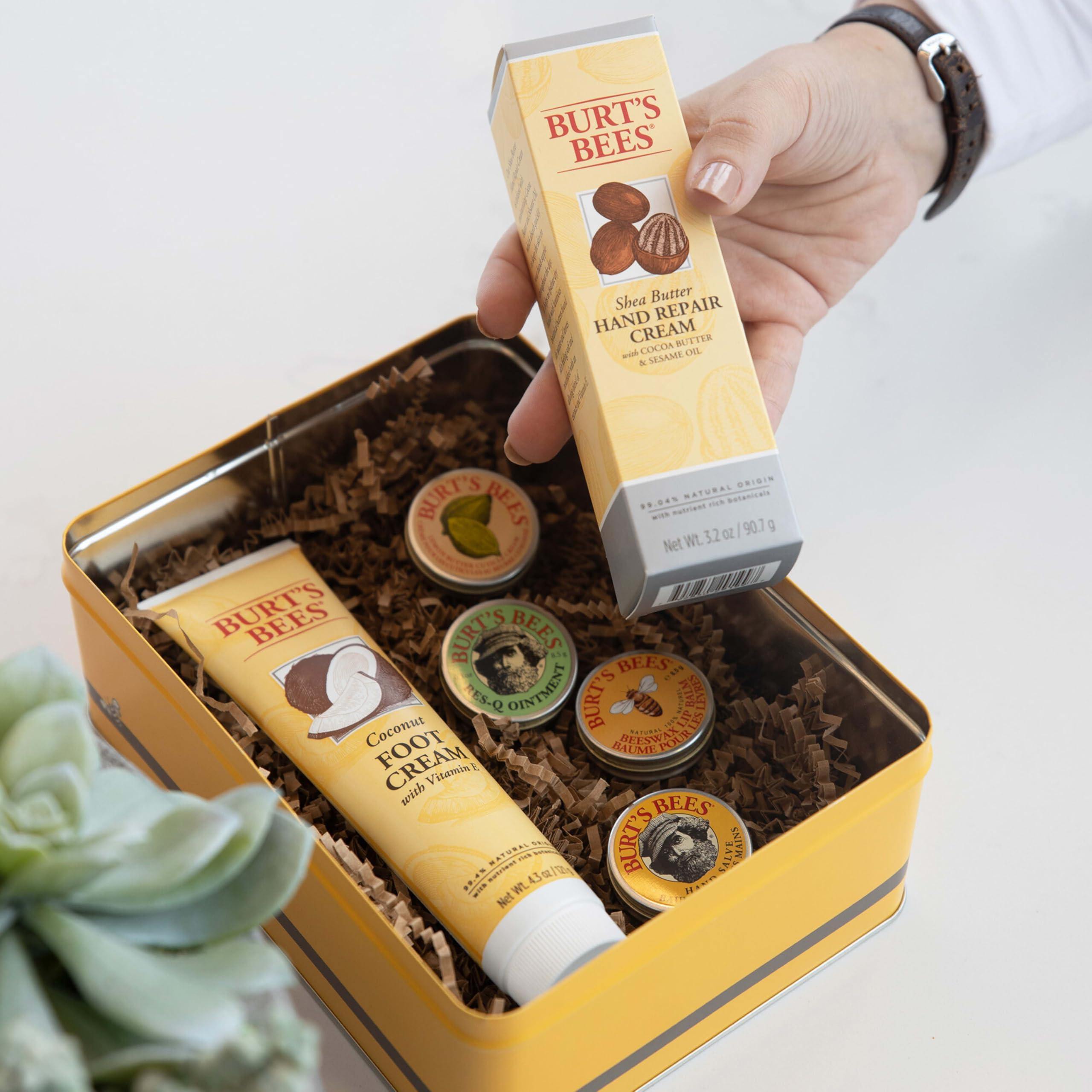 Burt's Bees Res-Q Ointment gentle, multi-use relief for dry patches.