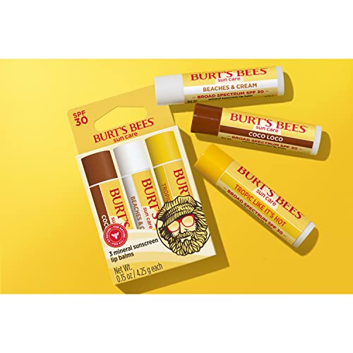 Burt’s Bees SPF 30 Cuidado labial portátil para viaje diario