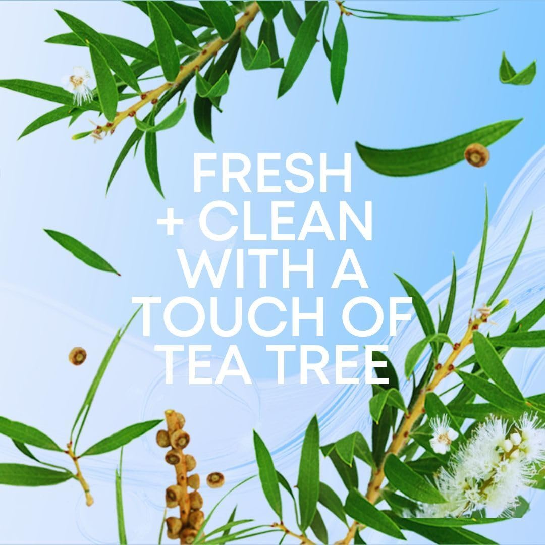 Bushbalm compact 30ml packaging image for travel ready