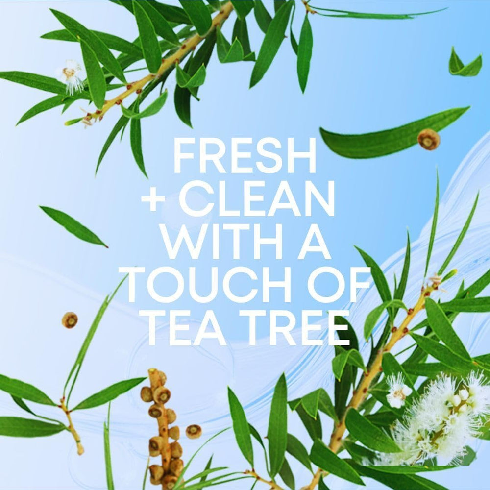 Bushbalm compact 30ml packaging image for travel ready