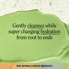 California Naturals Eucalyptus Breeze Conditioner label close-up with nourishing botanicals