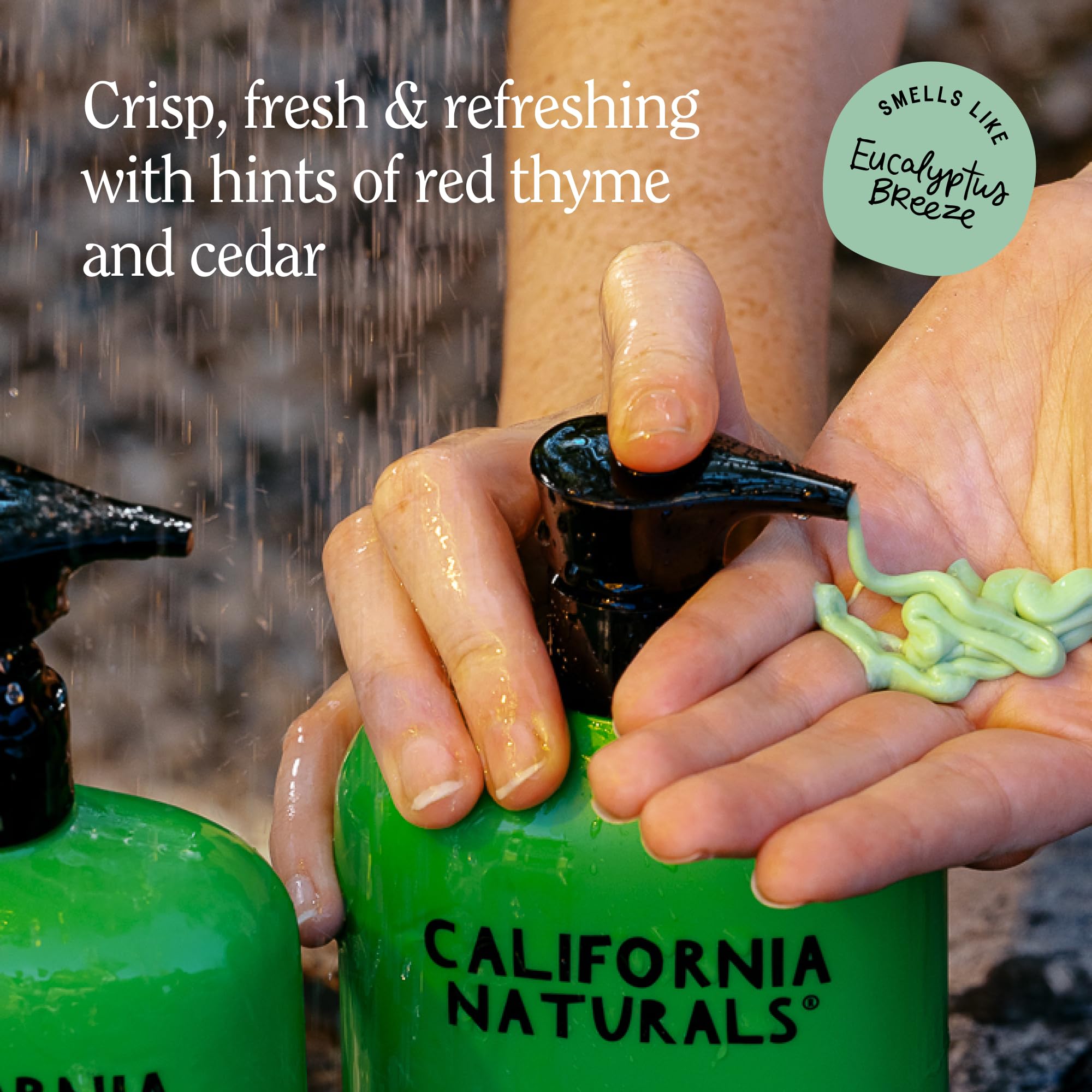 California Naturals ingredients graphic shows marula oil, shea, murumuru butters