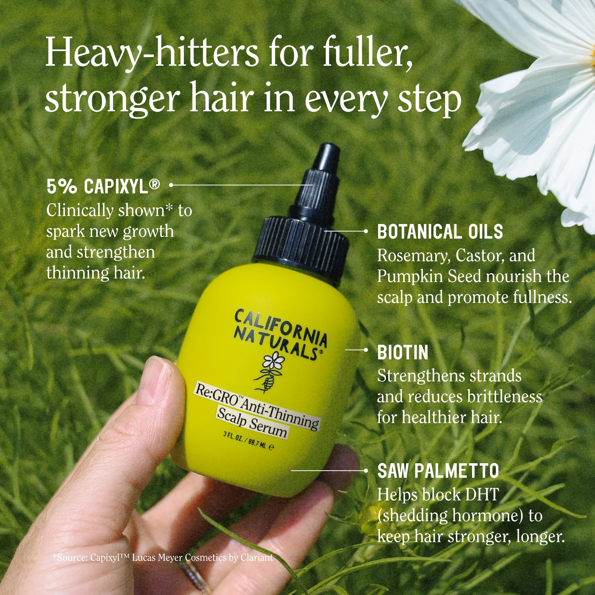 Targeted application to thinning hairline with Re:GRO serum.