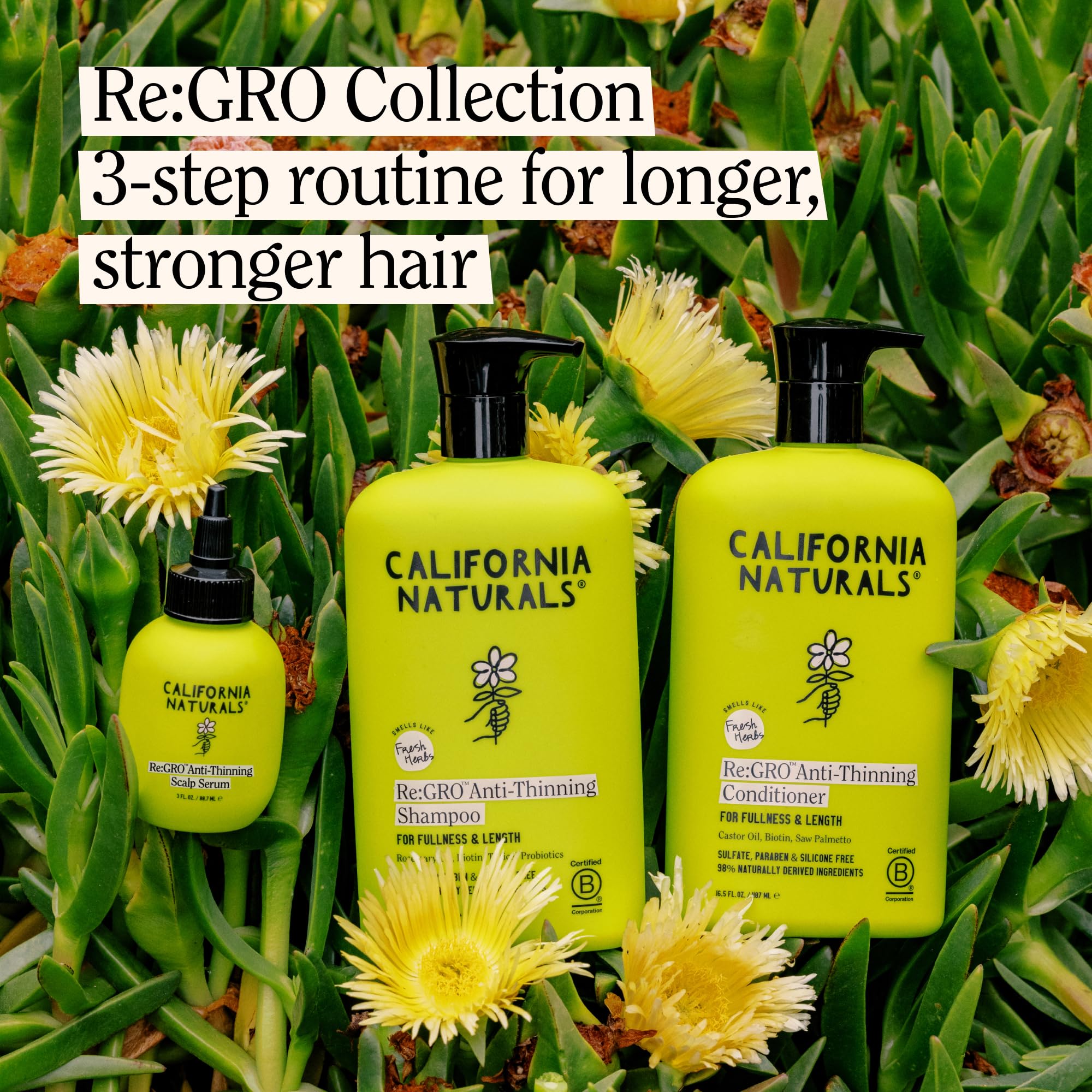 Root lift and thicker-looking roots with Re:GRO serum over time.