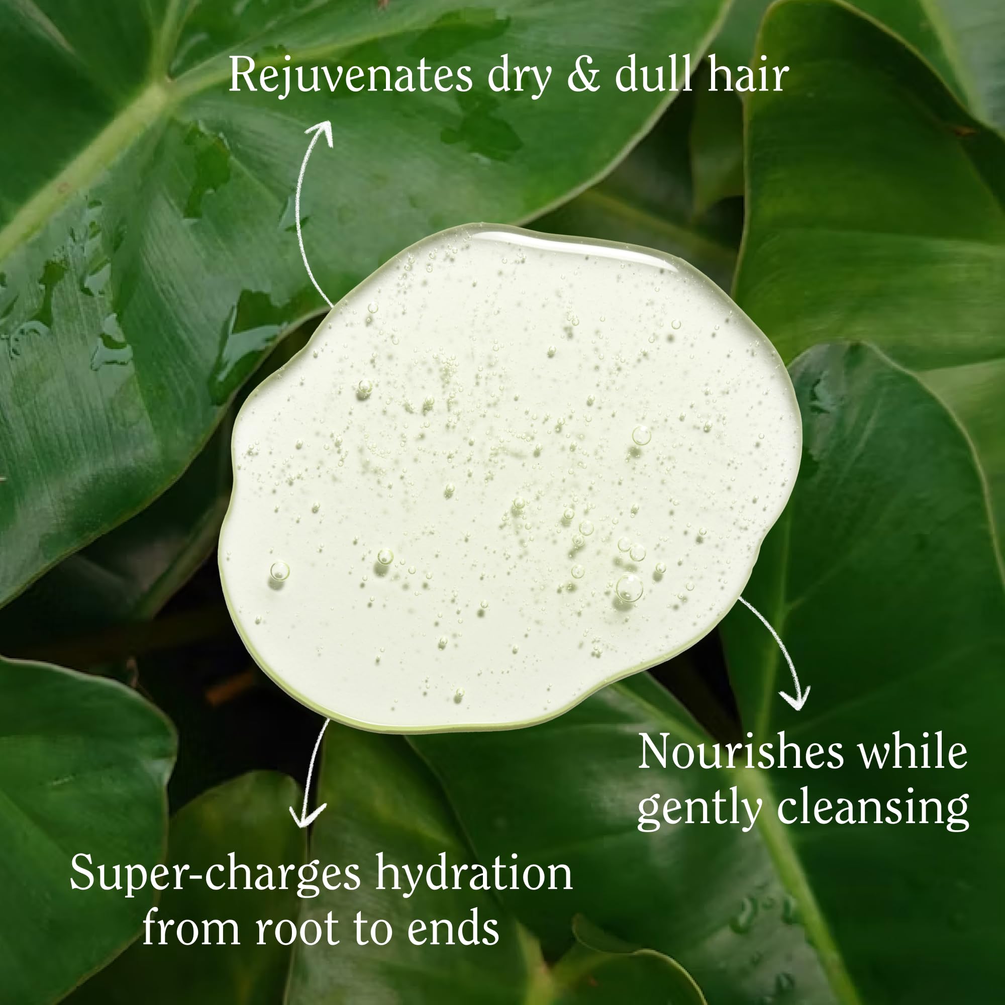 California Naturals: espuma suave que limpia sin resecar el cabello.