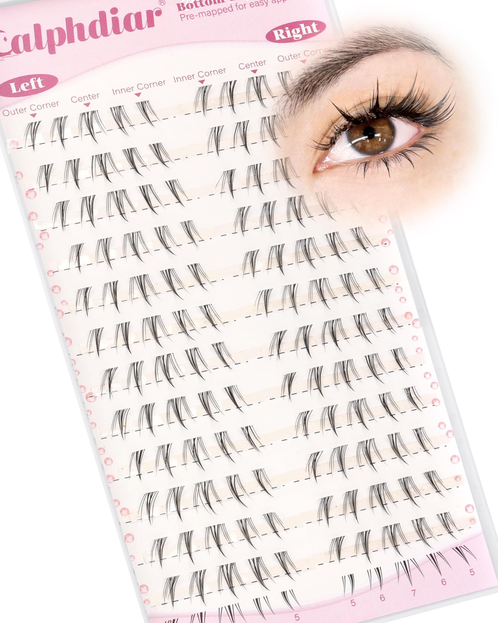 Calphdiar bottom lash clusters pre-mapped for easy alignment on both eyes.