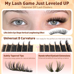Calphdiar Wispy Lash Clusters D-curly for lifted, wide-eyed effect