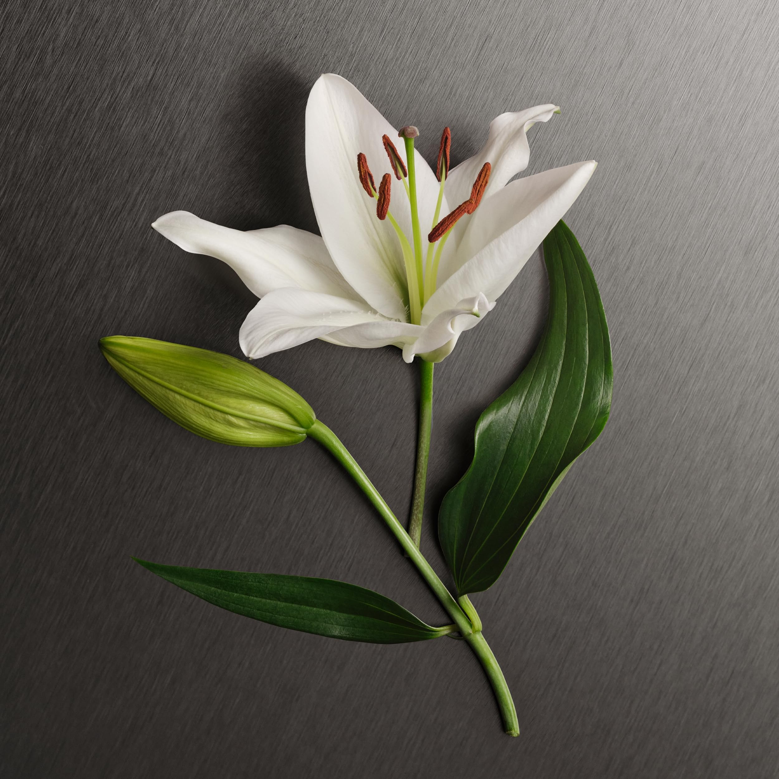 Detail of Calvin Klein Eternity lotion label emphasizing elegant branding