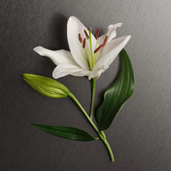 Detail of Calvin Klein Eternity lotion label emphasizing elegant branding
