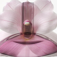 Calvin Klein Euphoria orchid base adding floral warmth and depth