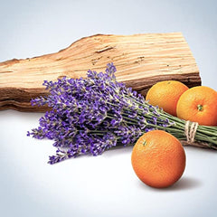 Calvin Klein Obsession deodorant stick with lavender and sage for confident all-day scent.