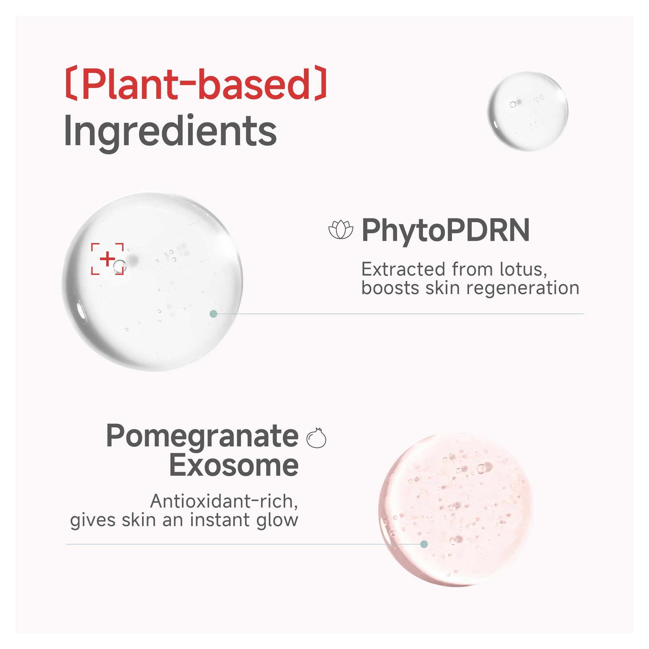 CandorLov pomegranate exosomes introduce antioxidants for improved tone and brightness.