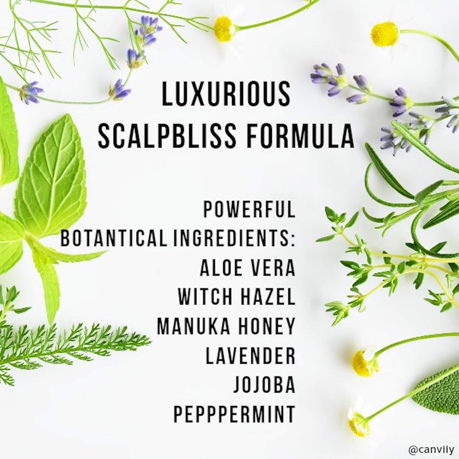 Canviiy ScalpBliss serum: uso diario para cuero cabelludo sensible.