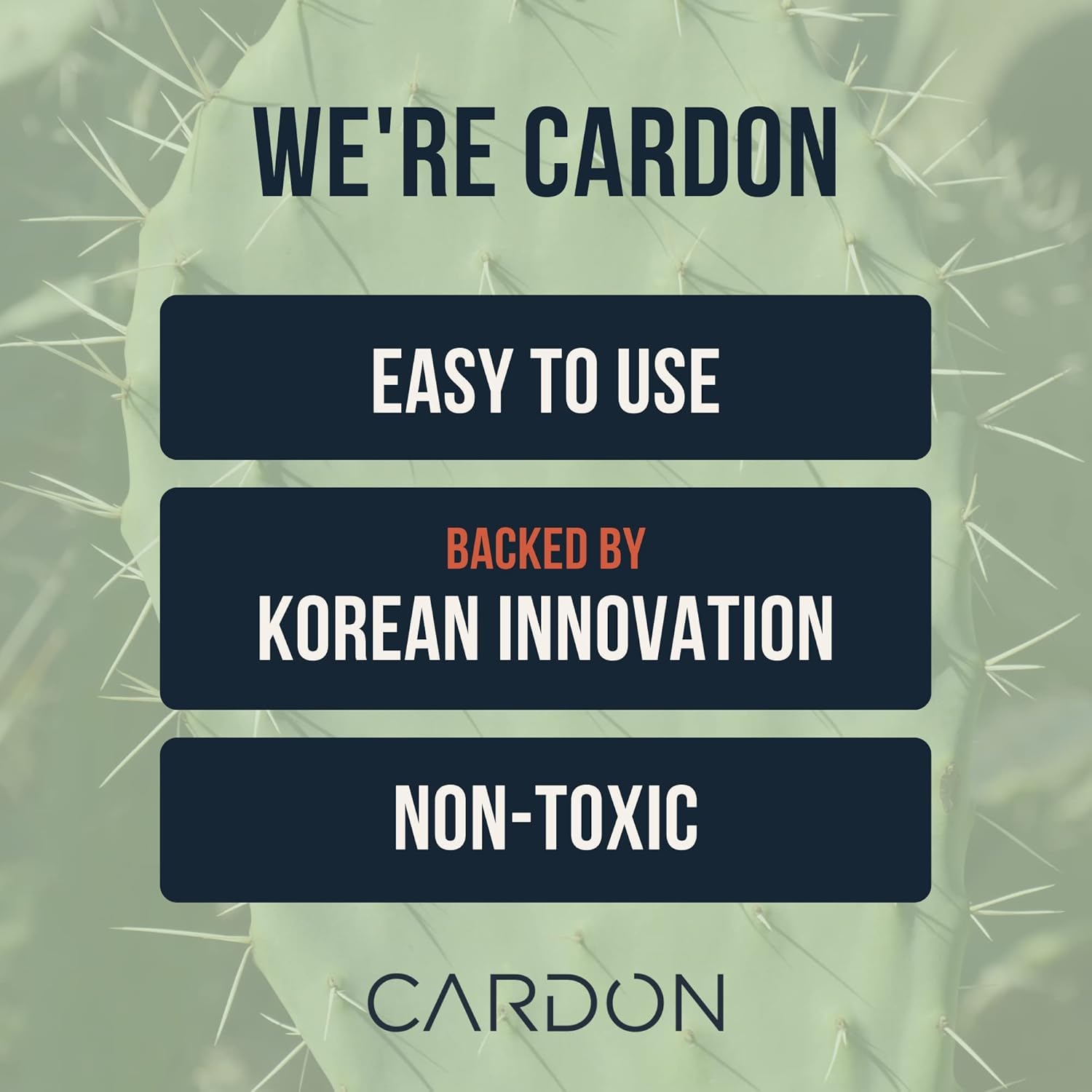 Cardon-1step-sun-care-routine demonstrates streamlined care with SPF 30.