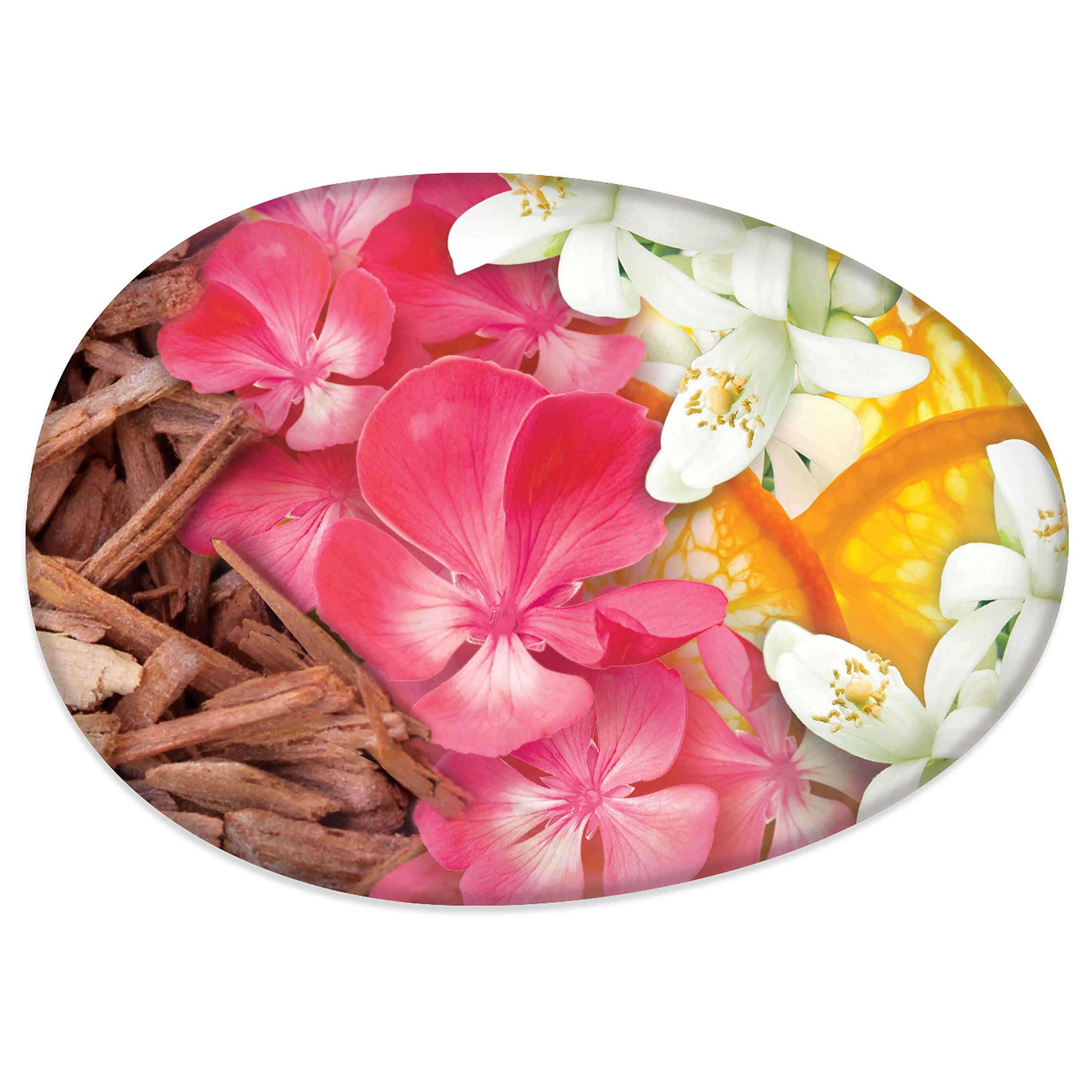 Caress Daily Silk beauty bar silky foam envelops skin