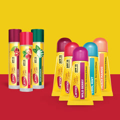 Bálsamo Carmex Cuidado Diario Stick menta-invierno para resequedad suave.