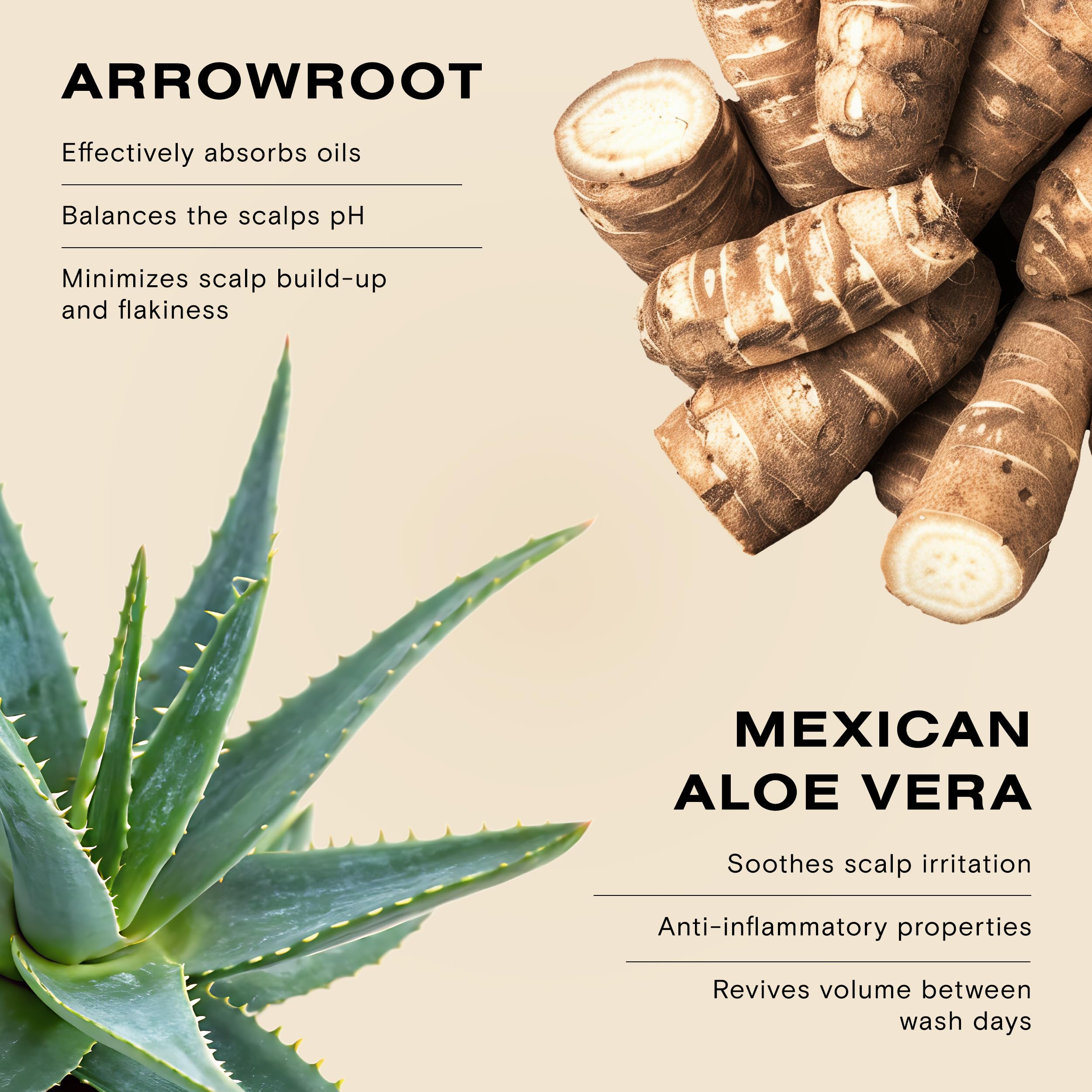 Ceremonia non aerosol design delivers targeted root refresh